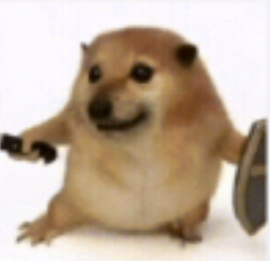 海外成人免费APP应用